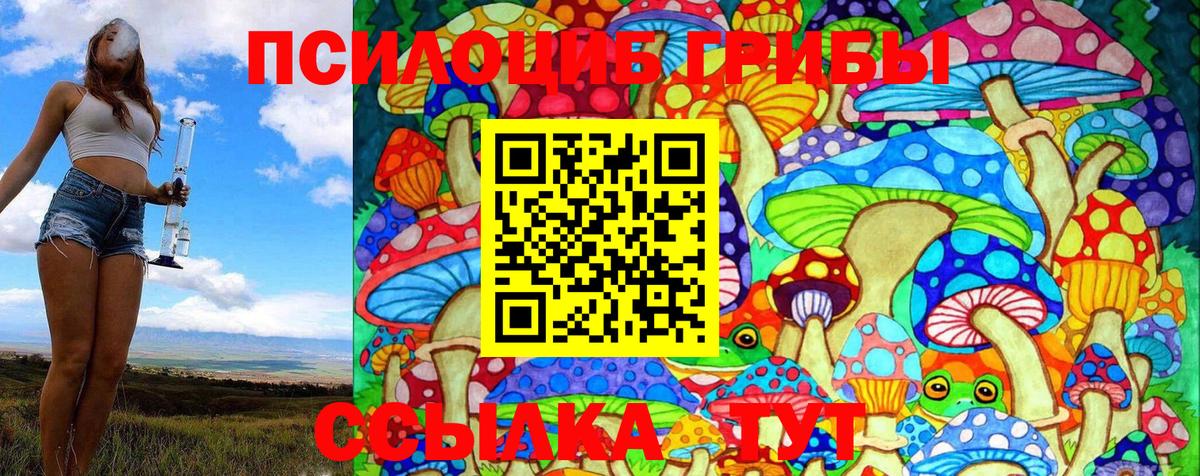 где можно купить   Псилоцибиновые грибы MAGIC MUSHROOMS  Галлюциногенные грибы Cubensis  Вход с VPN  Большой Камень 